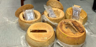 Il “tesoro” scoperto nelle forme di parmigiano
