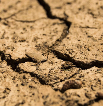 Piove pochissimo, nuove allarme siccità: gli scenari