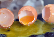 Ritirate dal mercato, attenti alle uova