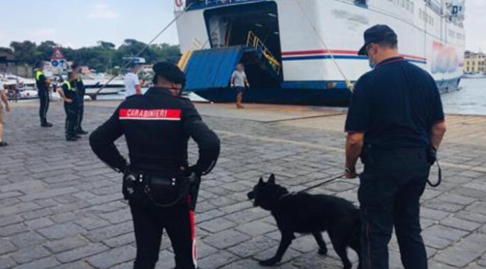 Da San Giuseppe Vesuviano a Ischia con il carico di salumi: tutto sequestrato