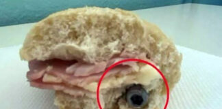 Bullone nel panino della scuola: bimbo rischia di soffocare