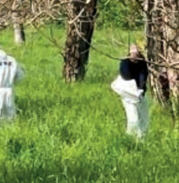 Corpo carbonizzato, è di un giovane di Sant’Anastasia