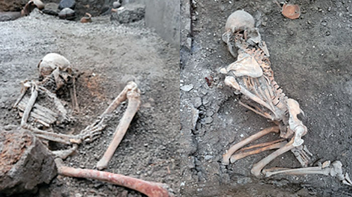 scheletri affiancati