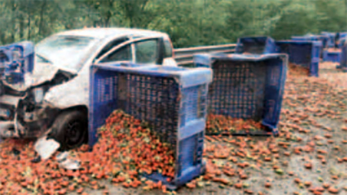 auto pomodori