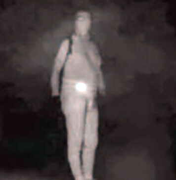 Furto in appartamento, presi i due ladri acrobati