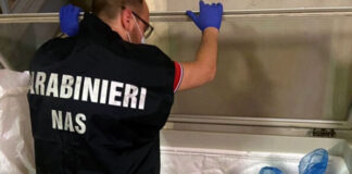 I Nas multano la Trattoria Nennella, chiuso il Burger King a Napoli