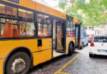 Anm assume 50 autisti di bus