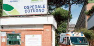 Morso da insetto, è grave al Cotugno: si teme per il ragno violino