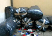 Intercettato camion che trasporta una tonnellata di scarti