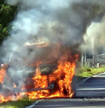 Auto in fiamme, il conducente salva anche il cagnolino