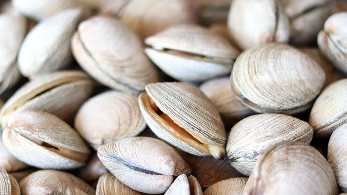 vongole
