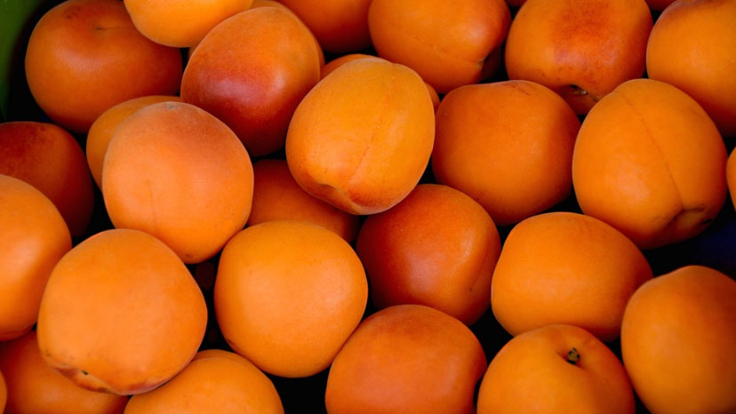 albicocche