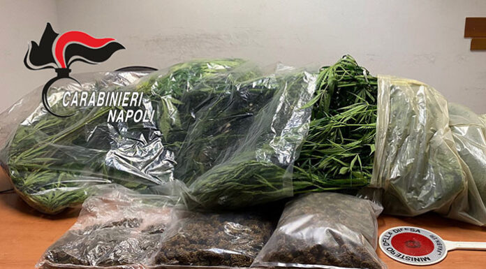 Piante e droga in casa, preso a Somma Vesuviana
