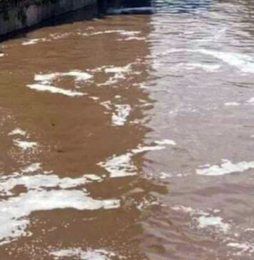 Scarti di macellazione e reflui velenosi nel Fiume Sarno: sequestata azienda