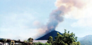 Incubo incendi a Napoli e provincia, fiamme anche a Somma Vesuviana