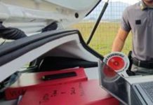 Va a caccia in maniera clandestina, 19enne si fa arrestare