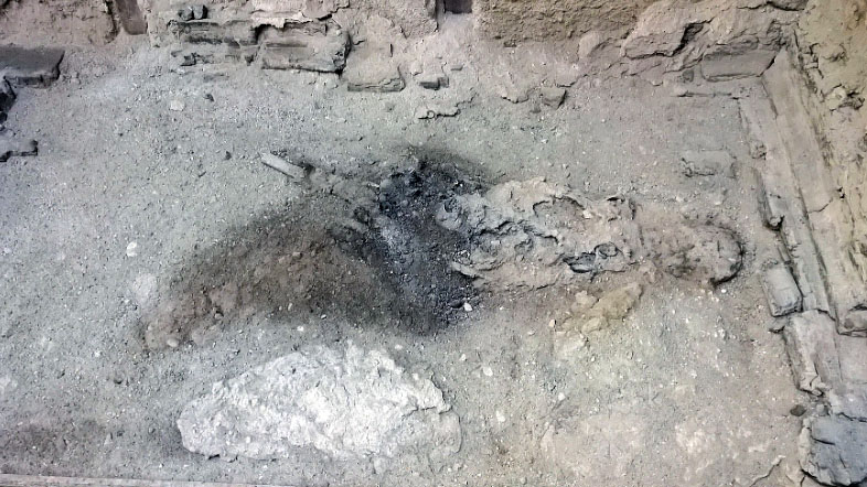 scavi cervello vetro