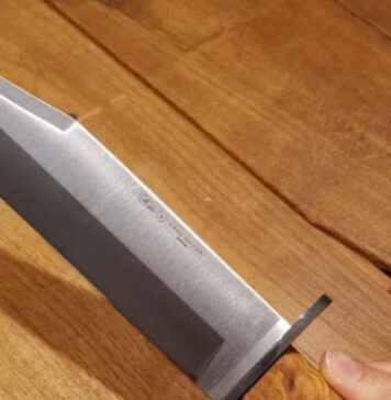 A 16 anni con un coltello in mano tra la folla: “Volevo solo farmi un selfie”