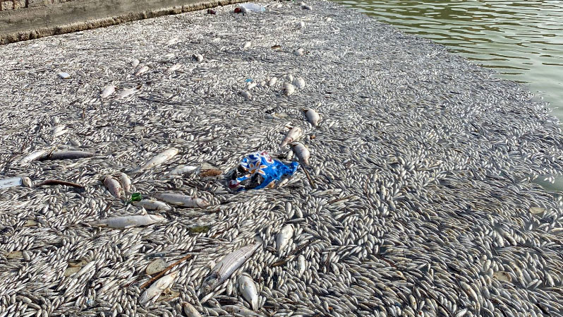 impianto sollevamento