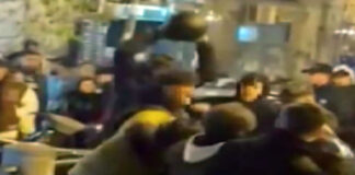 Maxi-rissa al bar con 12 Dacur