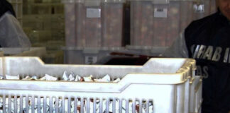 Alimenti sequestrati, blitz nei ristoranti della movida