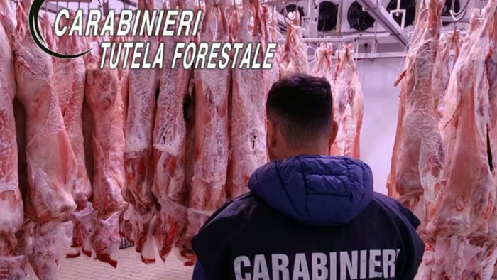 carne