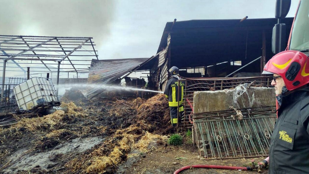 incendio azienda agricola