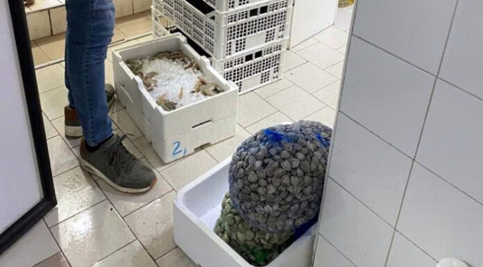 Poggiomarino, sequestrati oltre due quintali di pesce