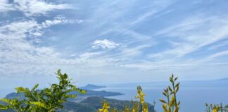 Al Faito un pomeriggio dedicato alla tutela dell’ambiente