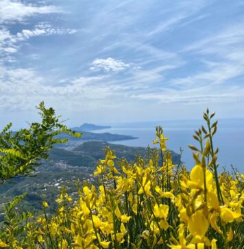 Al Faito un pomeriggio dedicato alla tutela dell’ambiente