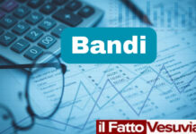 Concorsi pubblici, bandi per diplomati