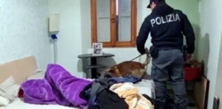 Truffa immigrazione a San Giuseppe Vesuviano, scoperta valigia con 350mila euro in contanti