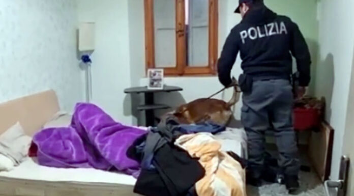 Truffa immigrazione a San Giuseppe Vesuviano, scoperta valigia con 350mila euro in contanti