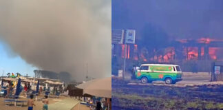 Brucia pineta accanto al lido, bagnanti scappano dalla spiaggia