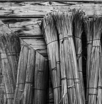 I paesaggi vesuviani in un docufilm, è già successo