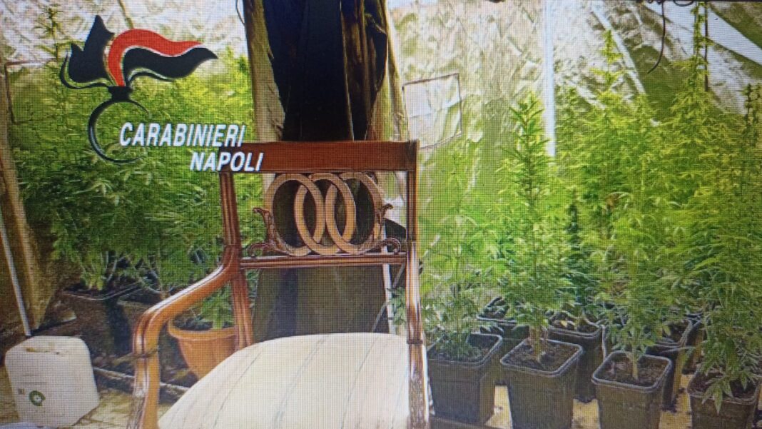 Villa ultima generazione, arresto