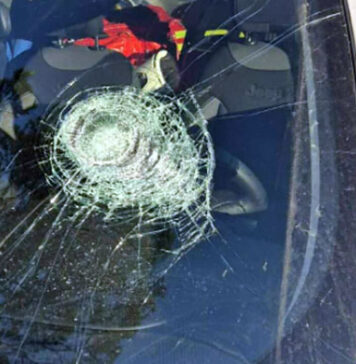 Boscoreale, 13enne distrugge ambulanza e automedica con una mazza da baseball