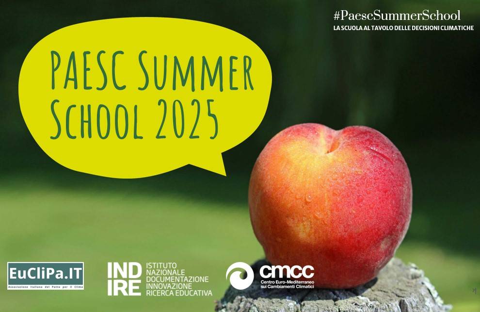 paesc summer school