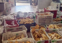 Panifici abusivi rubano la corrente: maxi-sequestro e supermulta