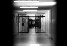 Latitante dei cavalli di ritorno si consegna in carcere