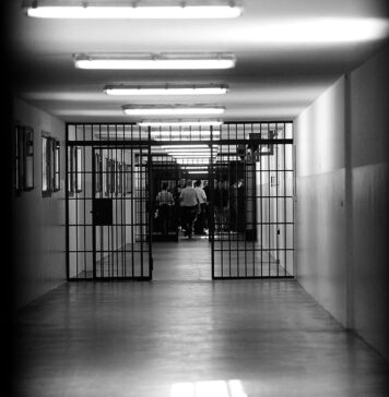 Latitante dei cavalli di ritorno si consegna in carcere