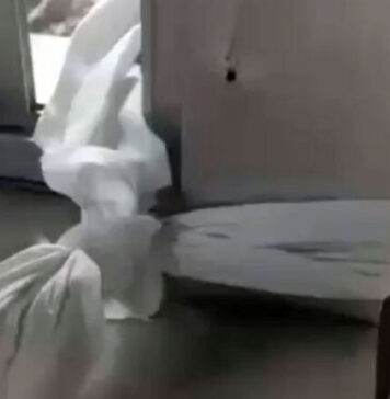 Sospetto vaiolo delle scimmie, clamorosa fuga con le lenzuola dall’ospedale di Scafati