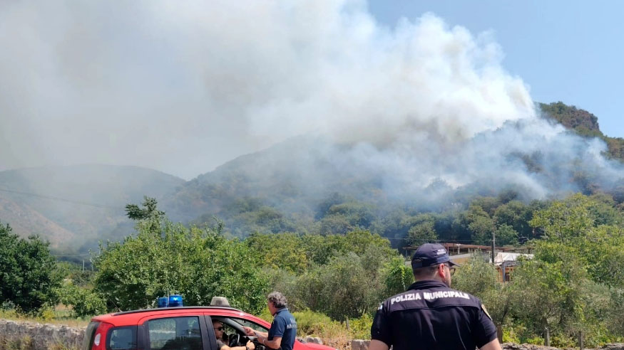 incendio palma