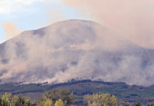 Incendio boschivi, Campania in ginocchio