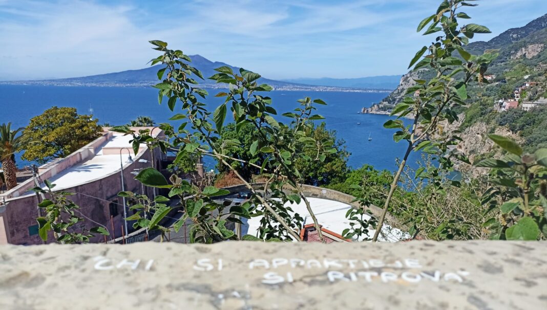 VICO 1