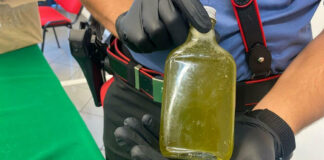 Scoperte 50 bottiglie di liquore alla marijuana
