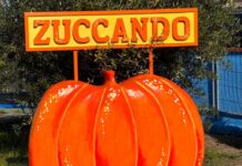 Zuccando, la festa della zucca di Casalnuovo di Napoli: un evento imperdibile per i bambini