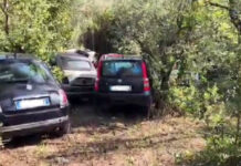 Auto rubate, scoperta la centrale in un bosco