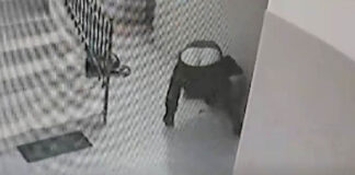 Anziana seguita sotto casa, scaraventata a terra e picchiata – GUARDA IL VIDEO