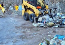 Carcasse nell’ex cava utilizzata per i rifiuti